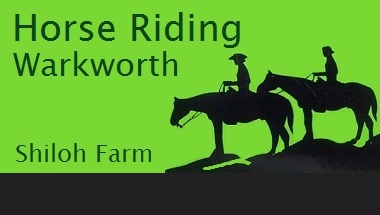 Horse Riding Warkworth