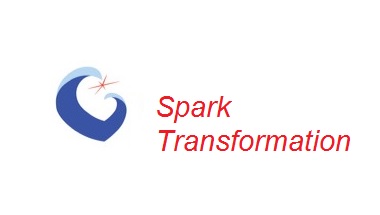 Spark Transformation