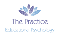 The Practice Educational Psychology